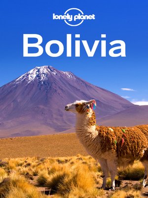 Bolivia Travel Guide - ebook